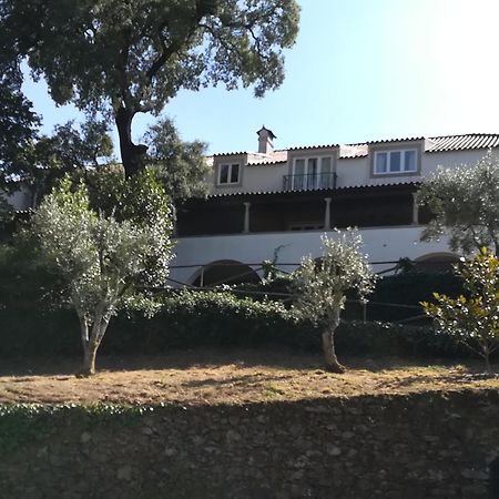 Casa Ribeira De Pera Villa Castanheira de Pera Eksteriør bilde